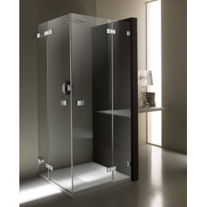 Маятниковая дверь Provex X-Line XE-2 2035 XE 05 GH L (W1000) с неподвижным сегментом 1000x2000 мм