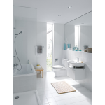 Напольный унитаз Laufen Pro 8.2495.9.400.000.1 с полочкой, с покрытием LCC